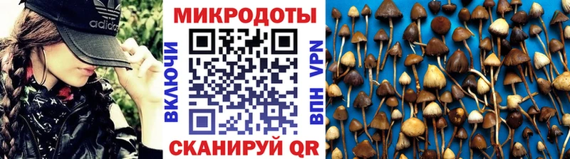 Псилоцибиновые грибы MAGIC MUSHROOMS наркота Александровск-Сахалинский